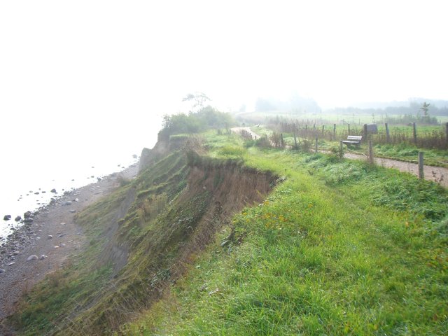 Brodtener Steilufer im Nebel